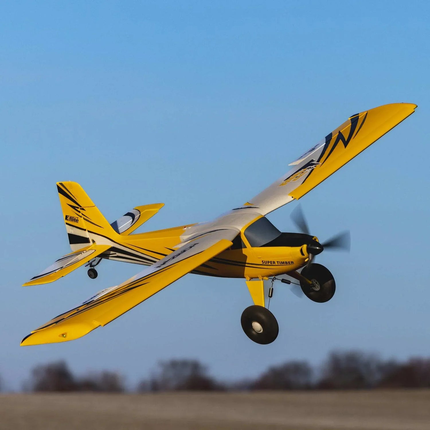 Radio Controlled Airplanes
